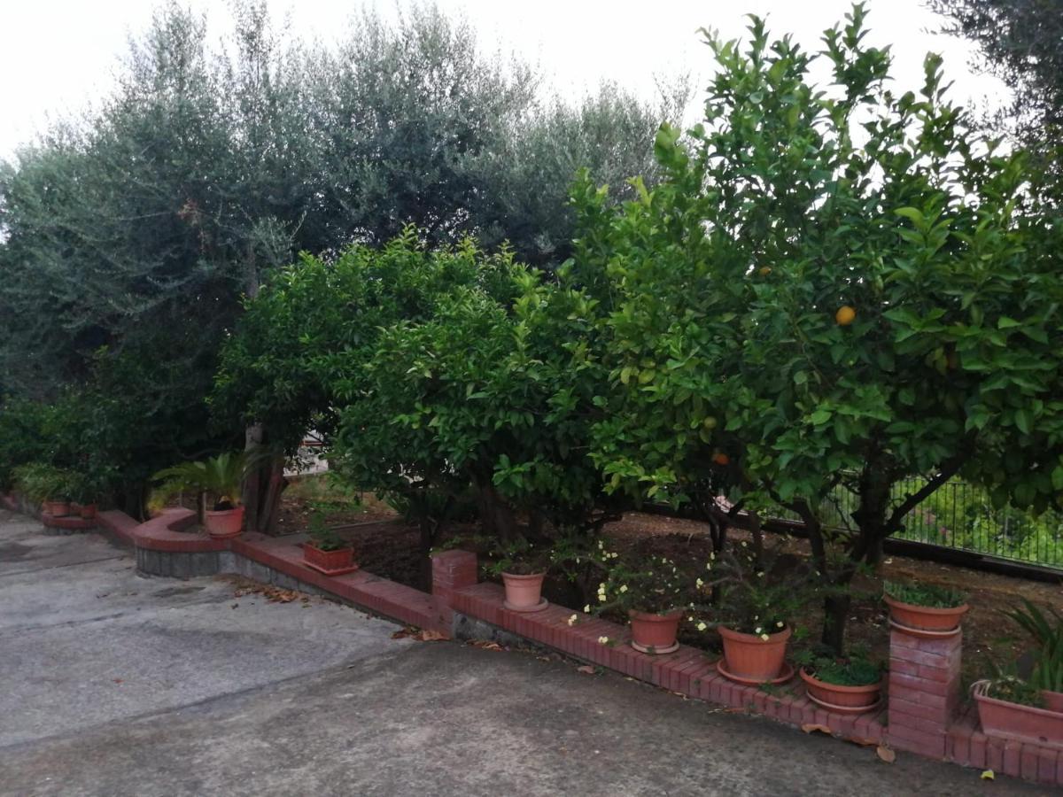 Villa Giannina Massa Lubrense Kültér fotó