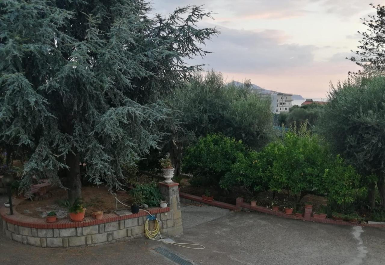 Villa Giannina Massa Lubrense Kültér fotó